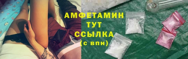 ECSTASY Бородино