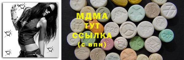 ECSTASY Бородино